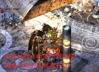 ����˽��sf�������ѡ��߱��ʷ���������������