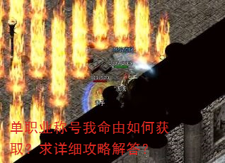��ְҵ�ƺ���������λ�ȡ������ϸ���Խ��
