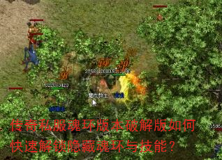 ����˽���껷�汾�ƽ����ο��ٽ������ػ껷�뼼�ܣ�