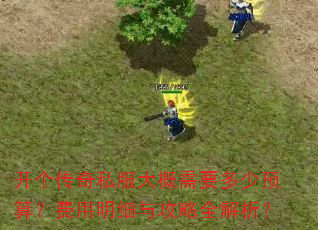 ��������˽�������Ҫ����Ԥ�㣿������ϸ�빥��ȫ������