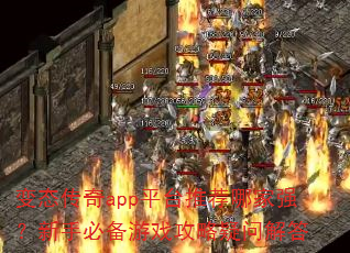 ��̬����appƽ̨�Ƽ��ļ�ǿ�����ֱر���Ϸ�������ʽ��