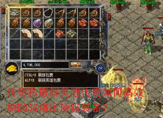 ����˽��ȺӢ�洫����θ�ЧˢBOSS��������װ����