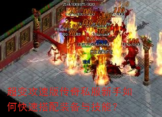 ���乥�ٰ洫��˽��������ο��ٴ���װ���뼼�ܣ�