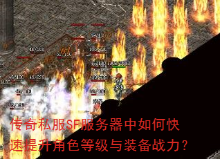 ����˽��SF����������ο���������ɫ�ȼ���װ��ս����