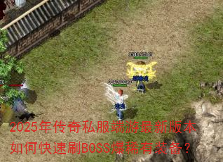 2025�괫��˽���������°汾��ο���ˢBOSS��ϡ��װ����