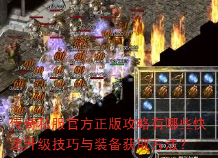 ����˽���ٷ����湥������Щ��������������װ����ȡ������