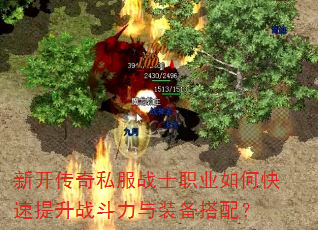�¿�����˽��սʿְҵ��ο�������ս������װ�����䣿