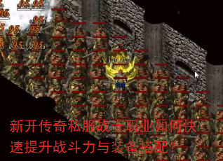 �¿�����˽��սʿְҵ��ο�������ս������װ�����䣿