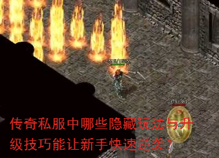 ����˽������Щ�����淨�����������������ֿ�����Ϯ��