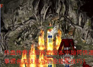 ��Ѫ����˽���ϻ��汾����ο������պϻ�������ְҵ���似�ɣ�