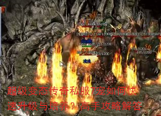 ������̬����˽��7����ο������������������ֹ��Խ��