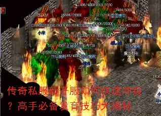 ����˽���¿�����ο��ٳ弶�����ֱر��������ɴ����