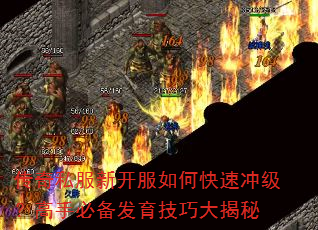 ����˽���¿�����ο��ٳ弶�����ֱر��������ɴ����