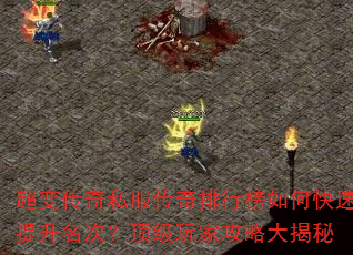 ���䴫��˽���������а���ο����������Σ�������ҹ��Դ����