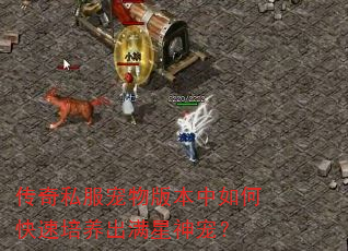 ����˽������汾����ο���������������裿