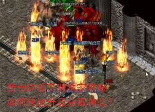 ����SF�¿������ҹ�����ο���������ȡ��װ��
