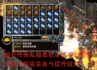 ���䴫��˽����ְҵ������ο��ٻ�ȡ����װ��������ս����
