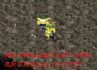 ���䴫��˽����ְҵ������ο��ٻ�ȡ����װ��������ս����