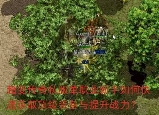 ���䴫��˽����ְҵ������ο��ٻ�ȡ����װ��������ս����