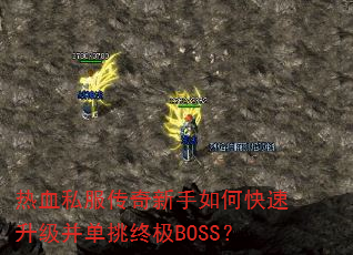 ��Ѫ˽������������ο��������������ռ�BOSS��