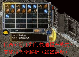 ����sf������ο�������ս����ʵս����ȫ������2025���£�