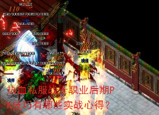 ��Ѫ˽��սʿְҵ����PK��������Щʵս�ĵã�