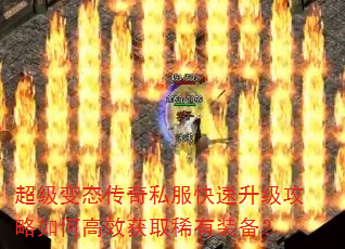 ������̬����˽����������������θ�Ч��ȡϡ��װ����