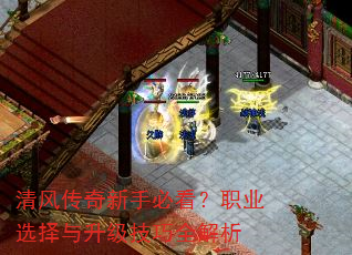 ��紫�����ֱؿ���ְҵѡ������������ȫ����