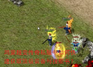 ���ɳ��䴫��˽������ο��ٻ�ȡ����װ���뼼���飿