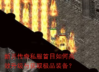 �¿�����˽��������θ�Ч�������ȡ��Ʒװ����