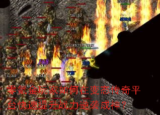 ��봽��������ڱ�̬����ƽ̨��������ս����Ϯ����