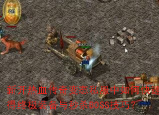 �¿���Ѫ�����̬˽������ο��ٻ���ռ�װ������ɱBOSS���ɣ�
