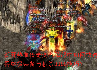 �¿���Ѫ�����̬˽������ο��ٻ���ռ�װ������ɱBOSS���ɣ�