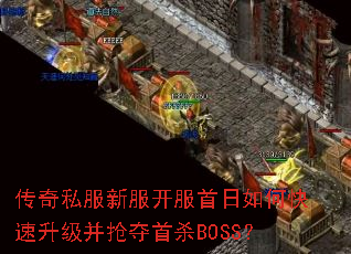 ����˽���·�����������ο���������������ɱBOSS��