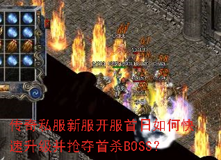 ����˽���·�����������ο���������������ɱBOSS��
