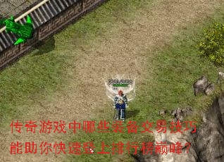 ������Ϸ����Щװ�����׼�����������ٵ������а��۷壿