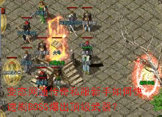 ��̬��ͨ����˽��������ο���ˢBOSS��������������