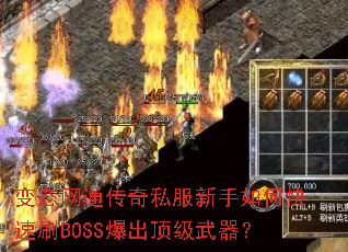 ��̬��ͨ����˽��������ο���ˢBOSS��������������