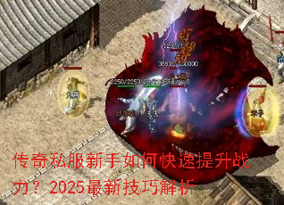 ����˽��������ο�������ս����2025���¼��ɽ���