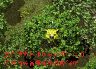 ���Ŵ���˽����ұؿ���ս��������װ������ȫ���Խ���