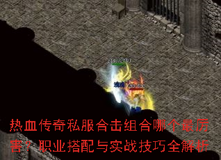 ��Ѫ����˽���ϻ�����ĸ���������ְҵ������ʵս����ȫ����