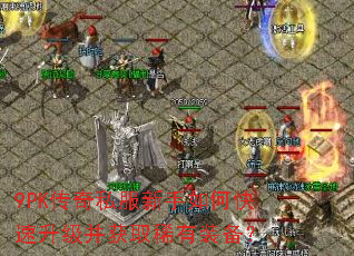 9PK����˽��������ο�����������ȡϡ��װ����