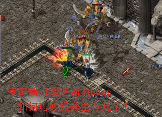 �����·�����ǿ��boss����������������漸�ʣ�