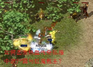 ��λ�����Ѫ����˽���е�ʬ�����ħ������