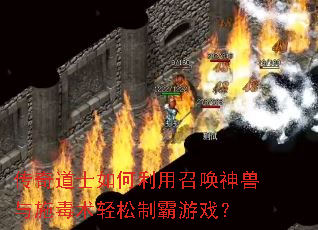 �����ʿ��������ٻ�������ʩ���������ư���Ϸ��