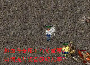 ��Ѫ���汬���ж���Ҫ���������װ����ȡ���ʣ�