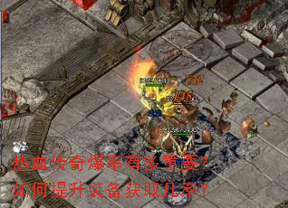 ��Ѫ���汬���ж���Ҫ���������װ����ȡ���ʣ�