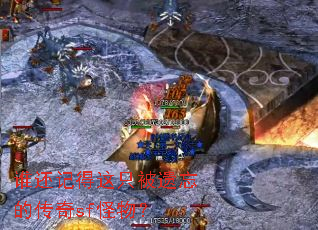 ˭���ǵ���ֻ�������Ĵ���sf���