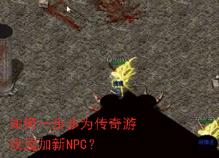 ���һ����Ϊ������Ϸ������NPC��