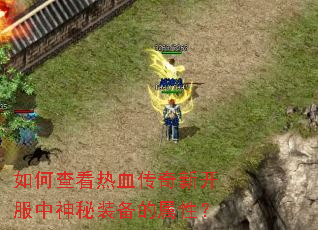 ��β鿴��Ѫ�����¿���������װ�������ԣ�